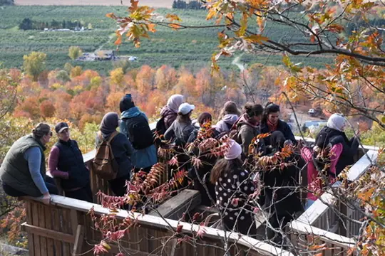 Randonneuses assises sur un belvédère entouré d’arbres d’automne